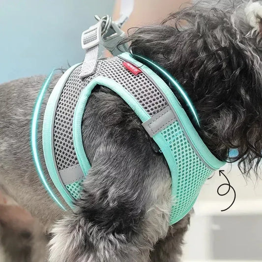Breathable Dog Harness – Adjustable No-Pull Mesh Vest