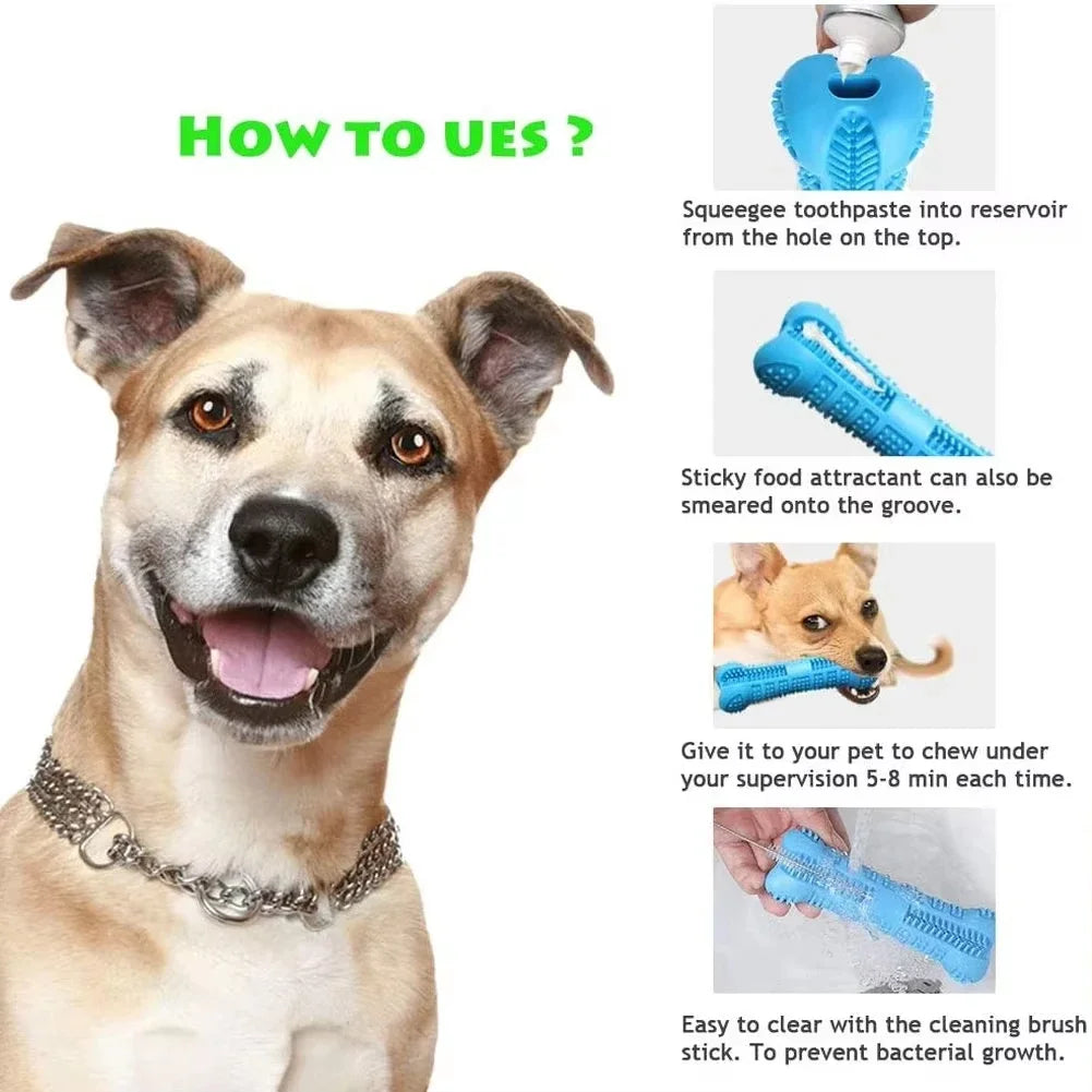 Non-toxic rubber dental chew toy for dogs