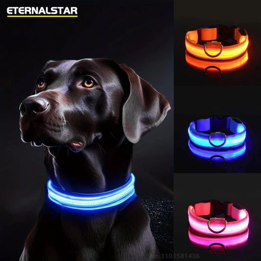 LED Light-Up Dog Collar – USB Rechargeable Safety Collar