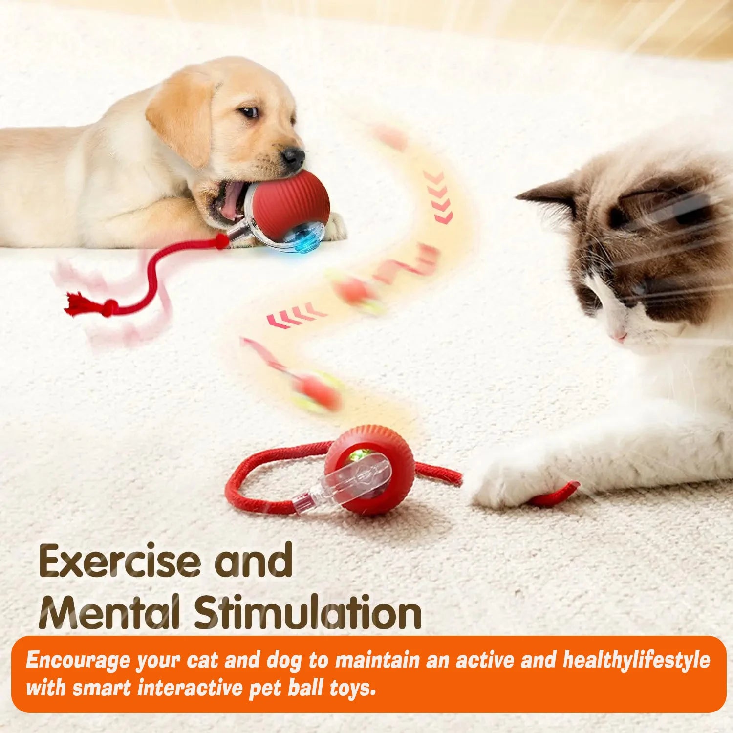 interactive smart dog ball