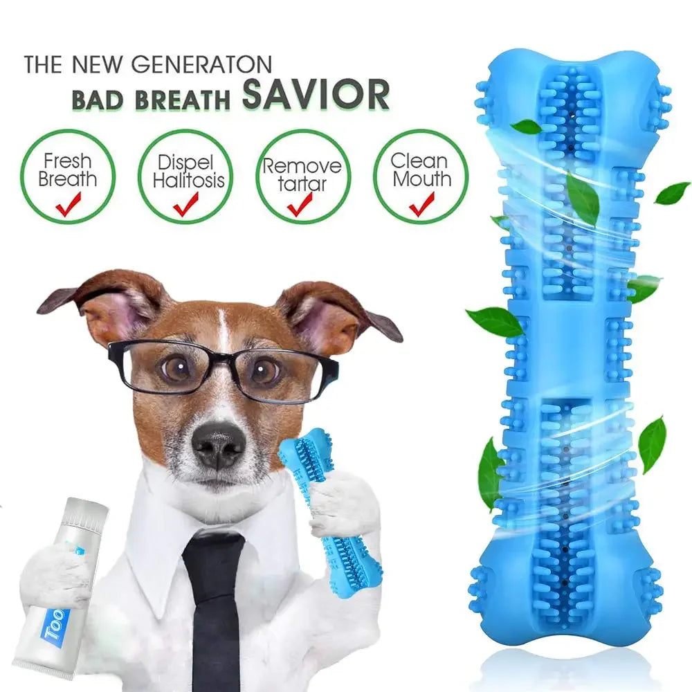 Dog oral care chew toy designed for fresh breath