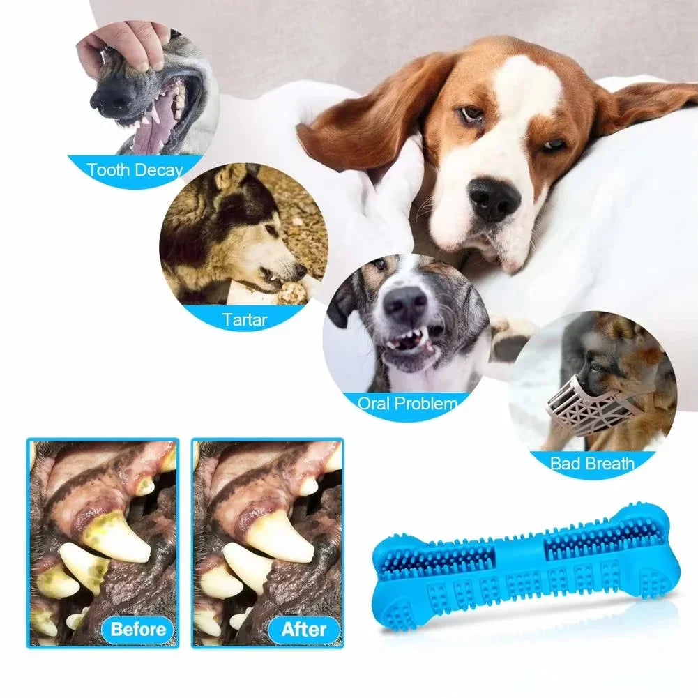 Breath freshening dog chew toy for daily oral care