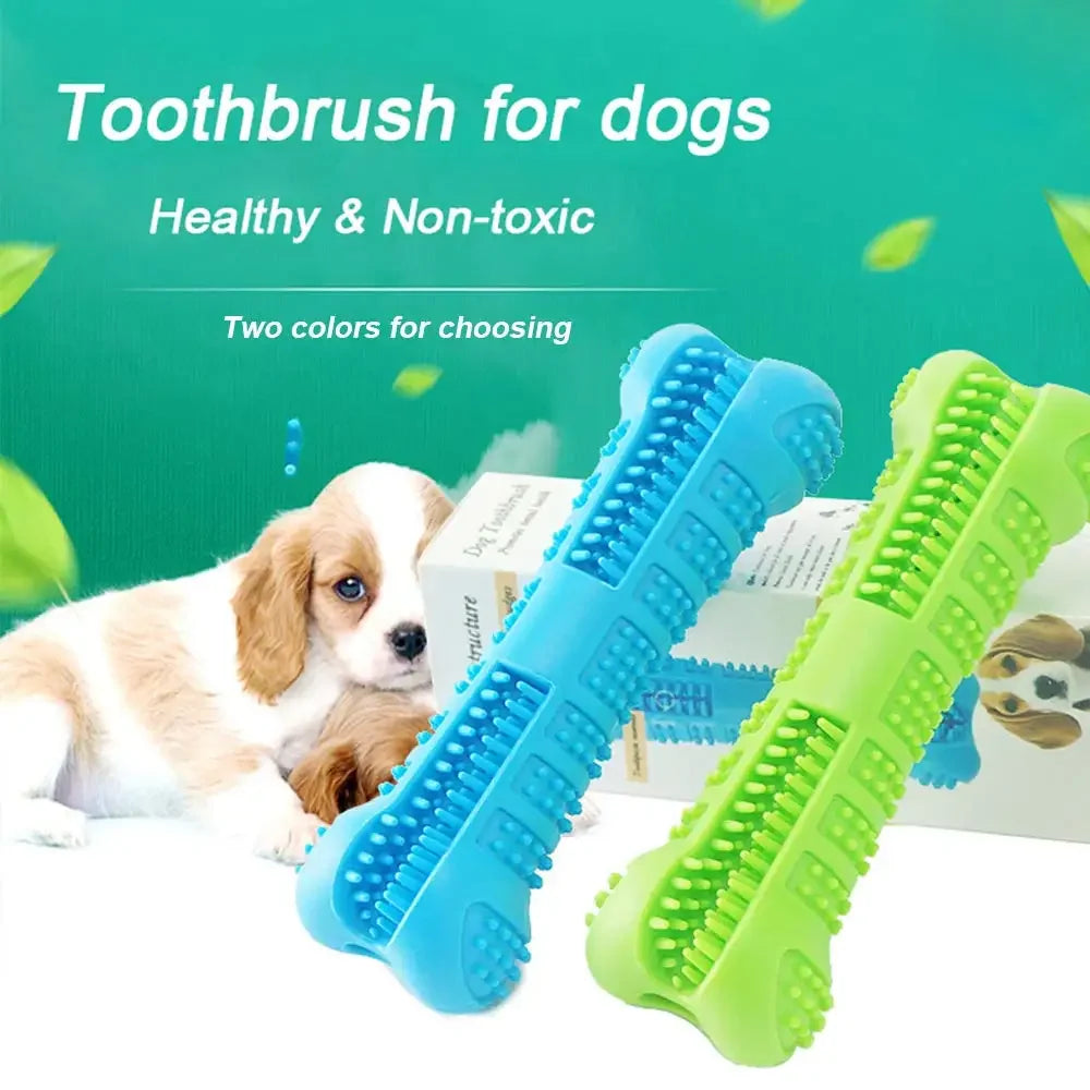 Dental hygiene dog toy promoting healthy chewing habits