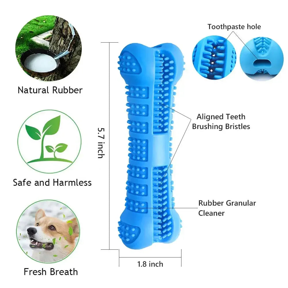 Textured dog chew toy supporting healthy teeth and gums