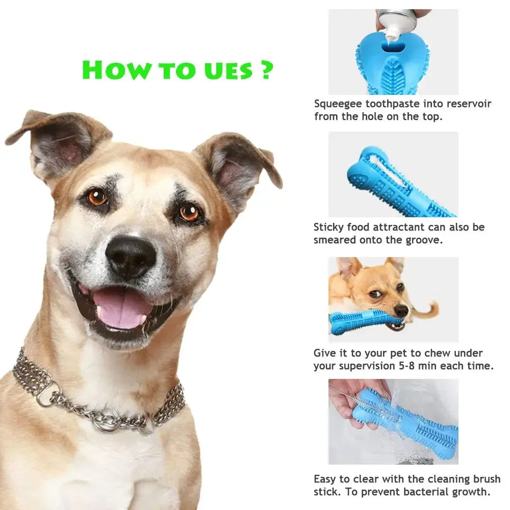 Dental dog toy with grooves for toothpaste application