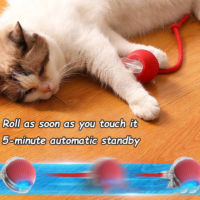 Interactive Smart LED Cat Ball Toy – Motion Activated Chase Toy