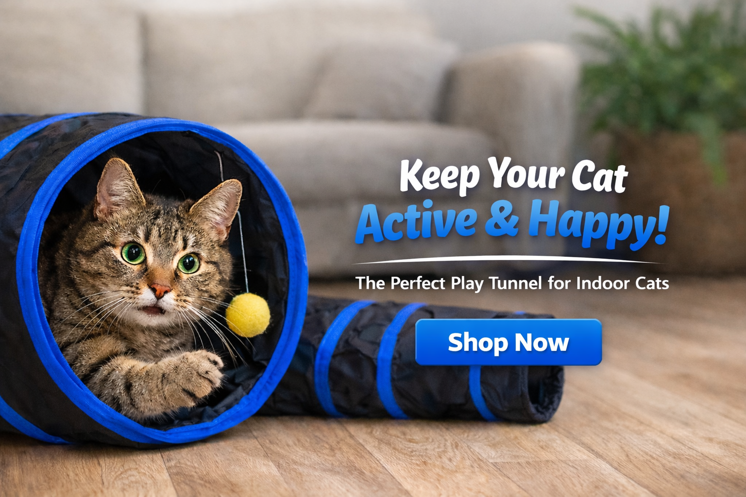 curious-cat-exploring-play-tunnel
